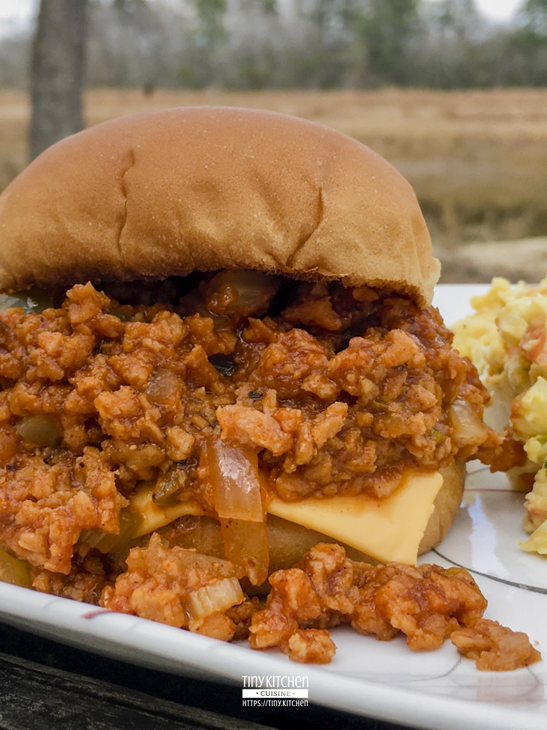 My recipe for vegetarian sloppy joes uses TVP (textured vegetable protein) mixed with a thick and tangy tomato sauce to make this spin on a classic sandwich. Delicious and healthy! It's so flavorful that even avid meat-eaters won't notice there's no meat! | Tiny Kitchen Cuisine | https://tiny.kitchen/